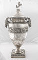 The Raines Cup, 1882