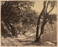 'Nainee Tal', Naini Tal hill station, India, 1870 (c)