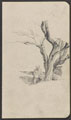 Soldier writing under a tree, 1917