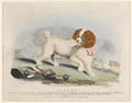 'Sancho', Battle of Salamanca, 1812