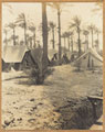 Camp of 1/5th Hampshire Howitzer Battery at Makina Masus, Basra, Mesopotamia, 1915