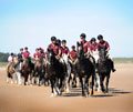 Household Cavalry exercising on Holkham Beach, Norfolk, 2015