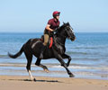Household Cavalry exercising on Holkham Beach, Norfolk, 2015