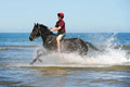 Household Cavalry exercising on Holkham Beach, Norfolk, 2015