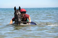 Household Cavalry exercising on Holkham Beach, Norfolk, 2015