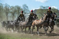 Musical Drive demonstration, King's Troop Royal Horse Artillery, Charlton Park, Greenwich, London, 2015