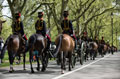 King's Troop, Royal Horse Artillery, London, 2015