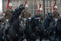 Household Cavalry Regiment rehearsing for the State Opening of Parliament, May 2015