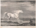 'Marengo', 1815 (c)