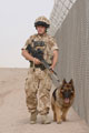 Private Harry McKnight and protection dog, 'Reece', patrolling at Camp Bastion, Helmand Province, 2008