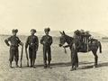 'Corps of Bengal Sappers and Miners', 1893