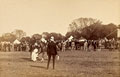 'Sports Assault at Arms. A Sowar falling from his Horse. Delhi Camp of Exercise.', 1886