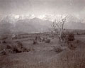 'Camp No 4 S.C. 34th Sikh Pioneers near Chambi Bridge April 1905', Kangra Earthquake operation, 1905