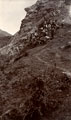34th Sikh Pioneers, Kangra Earthquake operation, 1905