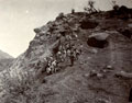 34th Sikh Pioneers, Kangra Earthquake operation, 1905
