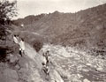 34th Sikh Pioneers, Kangra Earthquake operation, 1905
