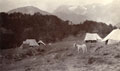 'Officers tents. Camp Chichya. Kangra Valley. June 05', 34th Sikh Pioneers, India, 1905