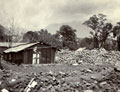 'Kangra Valley Tea Estate after earthquake. April 05', India, 1905