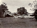 'Ruins of a cottage on Kangra Valley Tea Estate after the Earthquake. June 1905'