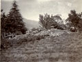 'Ruins of a cottage on Kangra Valley Tea Estate after the Earthquake. June 1905', India, 1905