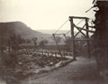 'Suspension bridge built by 1st S&M, June 05', 34th Sikh Pioneers, Buner, Kangra Earthquake operation, 1905