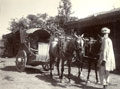 'Tonga on road Murree - Srinagar.', July 1905