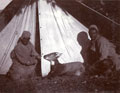 '7 1/4" Goral shot at Bairagal, Chamba, 21st Sept 1907'
