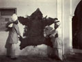 'Skin of Black Bear shot at Shalaid.  Chamba. 24th Aug 1907'