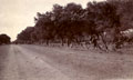 '34th Sikh Pioneers halt on the march to Pindi', November 1905