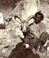 '10 days shoot on the Salt Range', 1910
