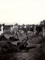 Southern Provinces Mounted Rifles section of a tented camp in Delhi during the Delhi Durbar, 1911