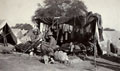 Southern Provinces Mounted Rifles section of a tented camp in Delhi during the Delhi Durbar, 1911