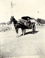 Horse-drawn carriage, Delhi Durbar, 1911
