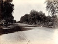 'The Mall. Peshawar', North West Frontier of India, 1905 (c)