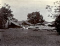 'Cottage on Kangra Valley Tea Estate', 1905