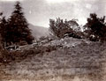 'Cottage Kangra Valley Tea Estate', 1905