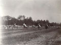 17th Cavalry tent-pegging, India, 1908 (c)