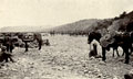 'Halted outside Barwand in the River Bed', Waziristan Expedition, 1917