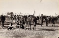 '13th Bengal Lancers', the Delhi Camp of Exercise, 1886