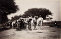'Nabha Contingent Cavalry', Delhi Camp of Exercise, 1886