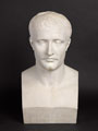 Bust of the Emperor Napoleon I, 1809 (c)