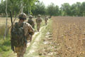 British troops on patrol at the edge of a poppy field, Helmand Province, Afghanistan, May 2008