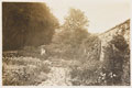 Gardens at Watermouth Castle, Devon, 1918