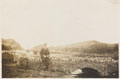 Watermouth Harbour, Devon, 1918