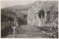 A donkey-drawn wheelchair, Devon, 1918