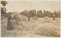 Making hay outside Queen Mary's Convalescent Auxiliary Hospital, Dover House, 1918