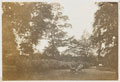 Wounded officers in the gardens at Queen Mary's Convalescent Auxiliary Hospital, Dover House, 1918