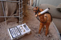 Cigarettes and souvenir toy camel, Allenby Lines, Basra Air Station, Iraq, 2009