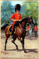 The Coldstream Guards Field Officer Review Order, 1905 (c)