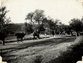 'Commissariat oonts!! R.I.A.S.C', India, North West Frontier, 1936